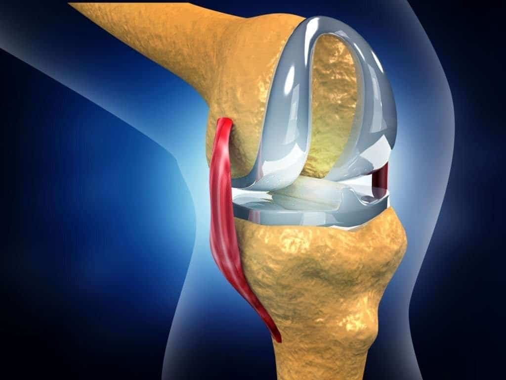 recover-timing-for-knee-replacement-surgery