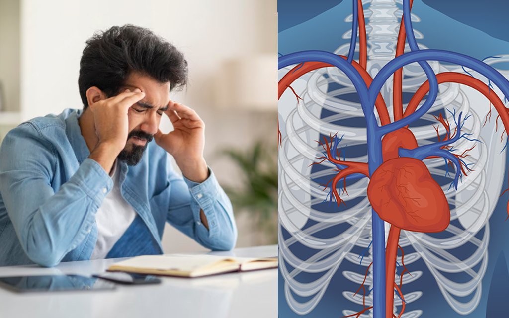 Link between Heart and Stress