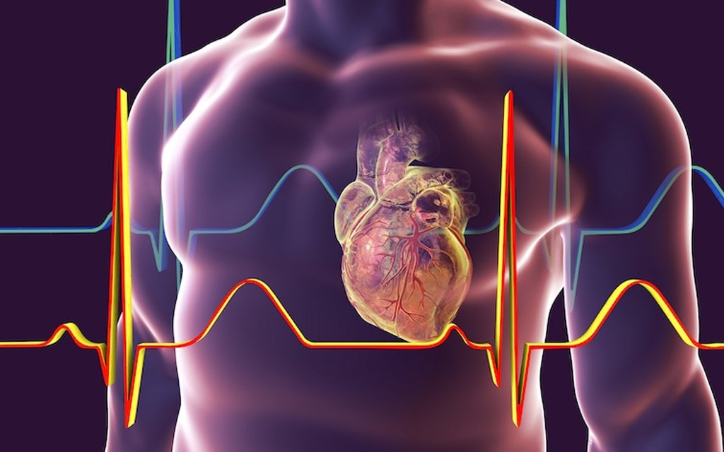 coronary artery heart disease